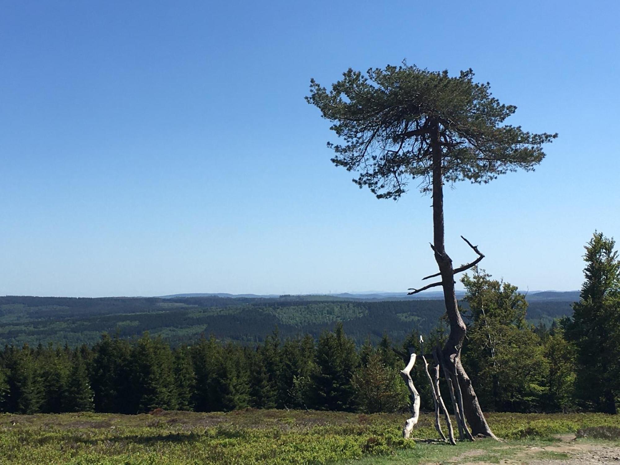 Berg- Und Seeblick Winterberg Exterior photo